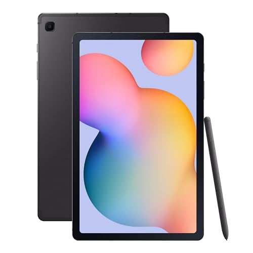 Samsung Galaxy Tab S6 Lite (2024)