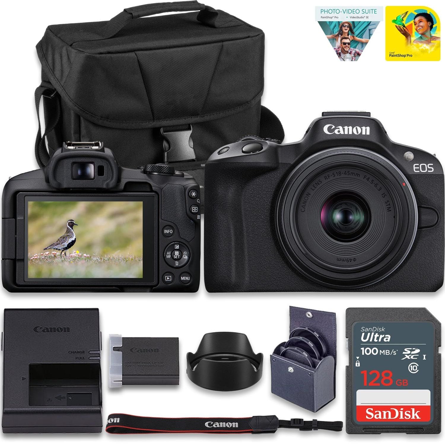 7 Best Beginner Cameras in 2026