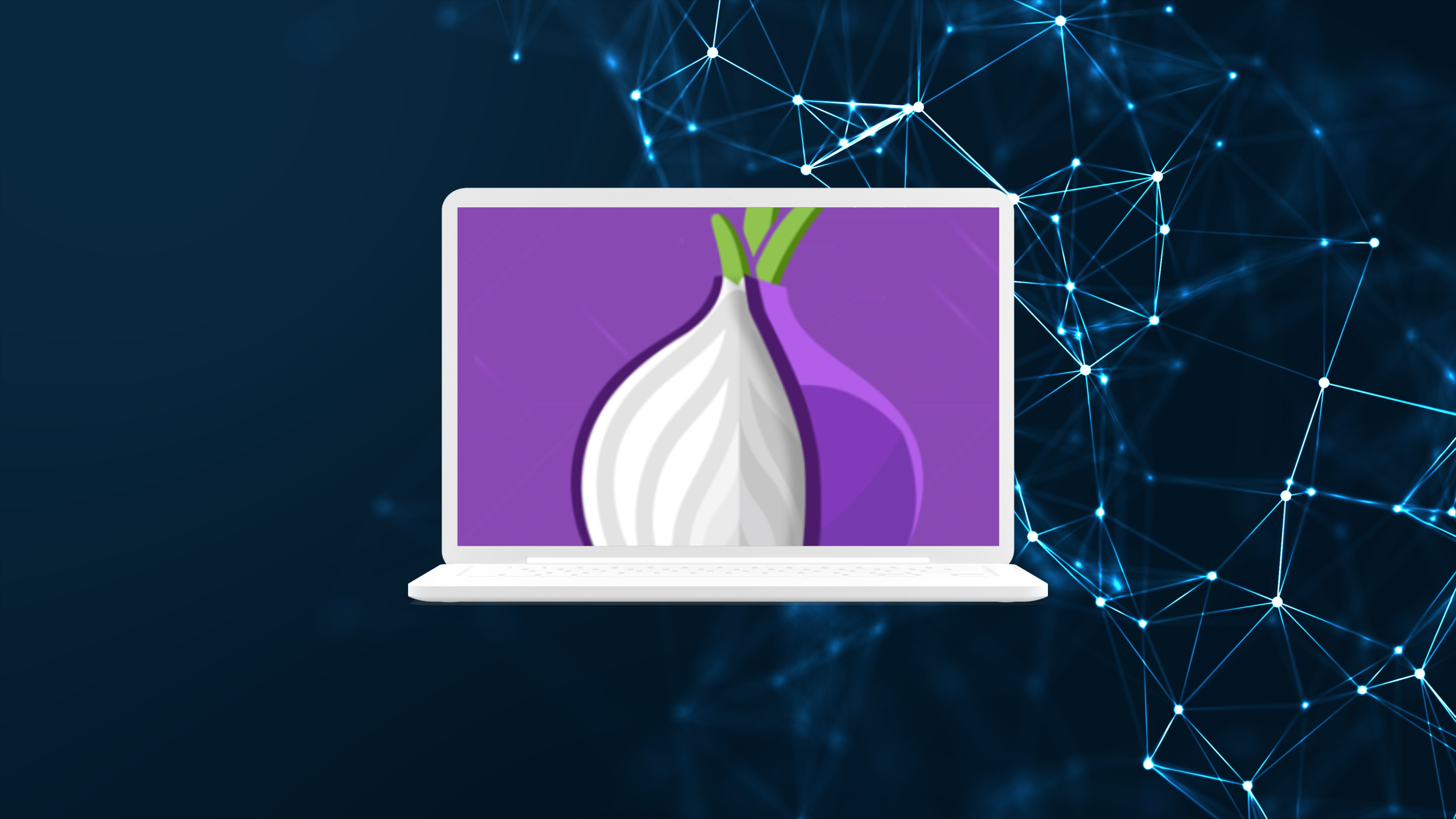 VPNs and Tor Network