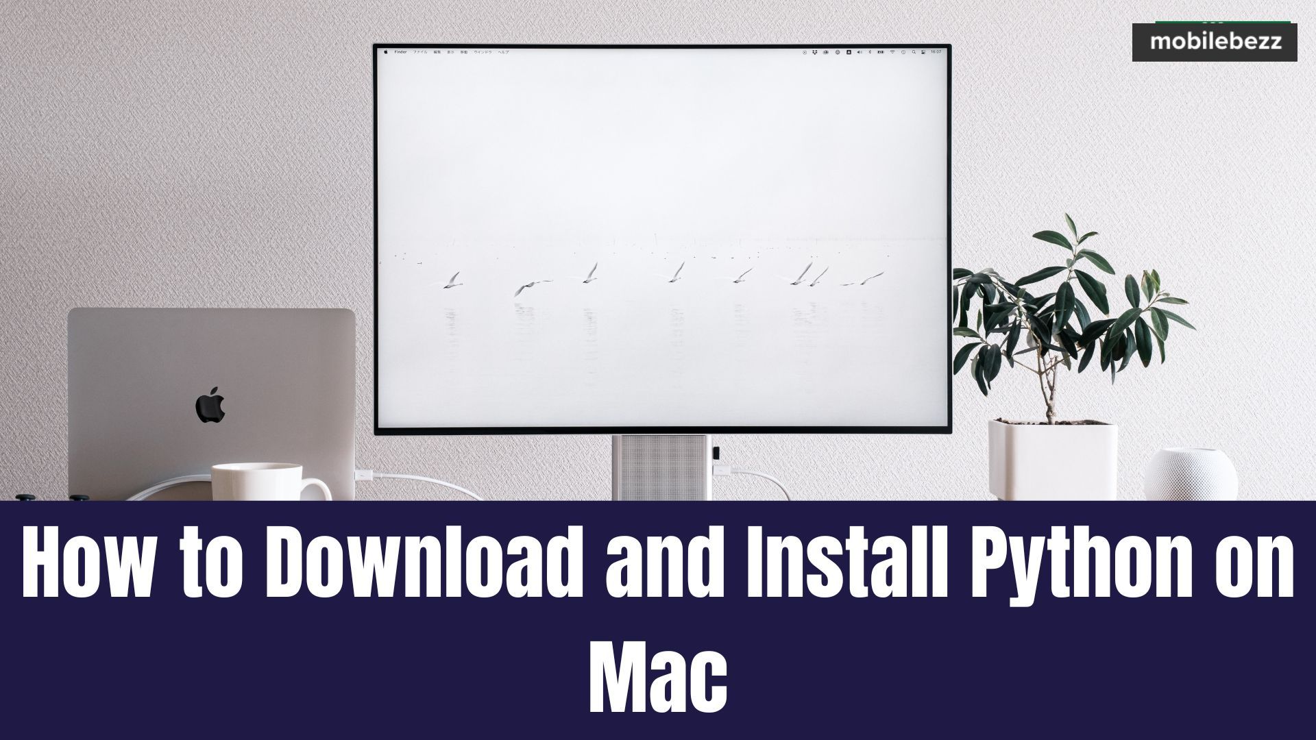 download and install python on mac