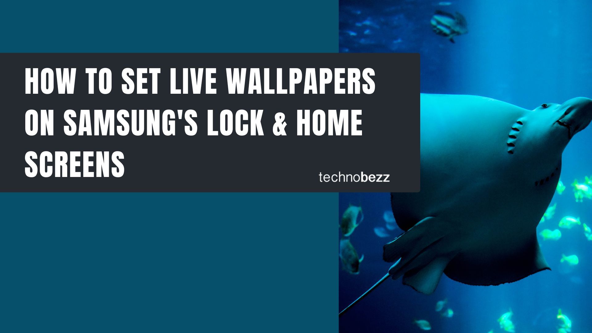 How To Set Live Wallpapers On Samsung's Lock & Home Screens - Technobezz