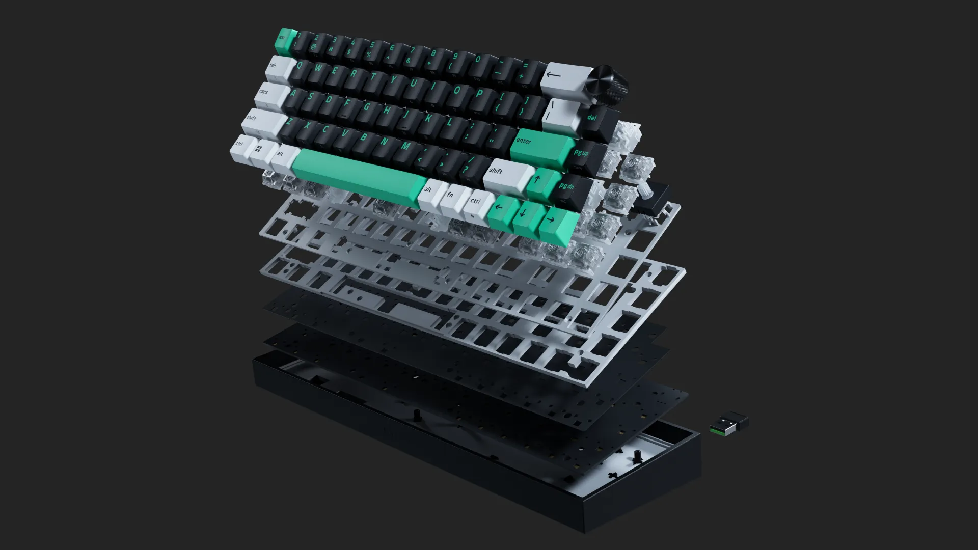 Reclusa-Layers.webp