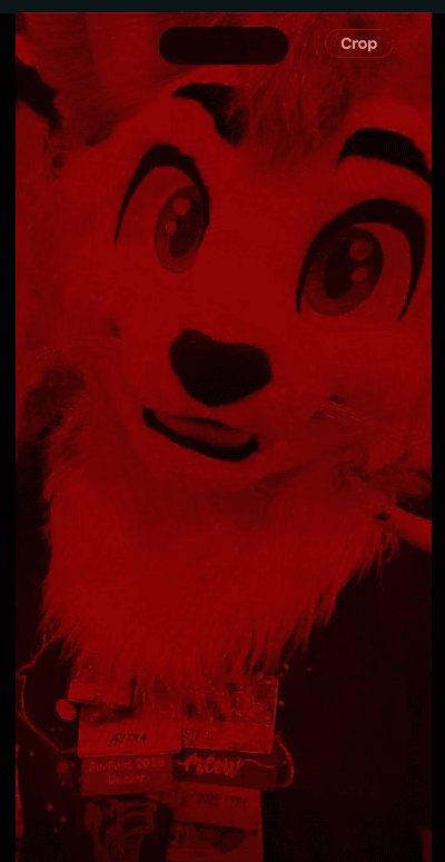 Screenshot 2025-12-16 034255.png