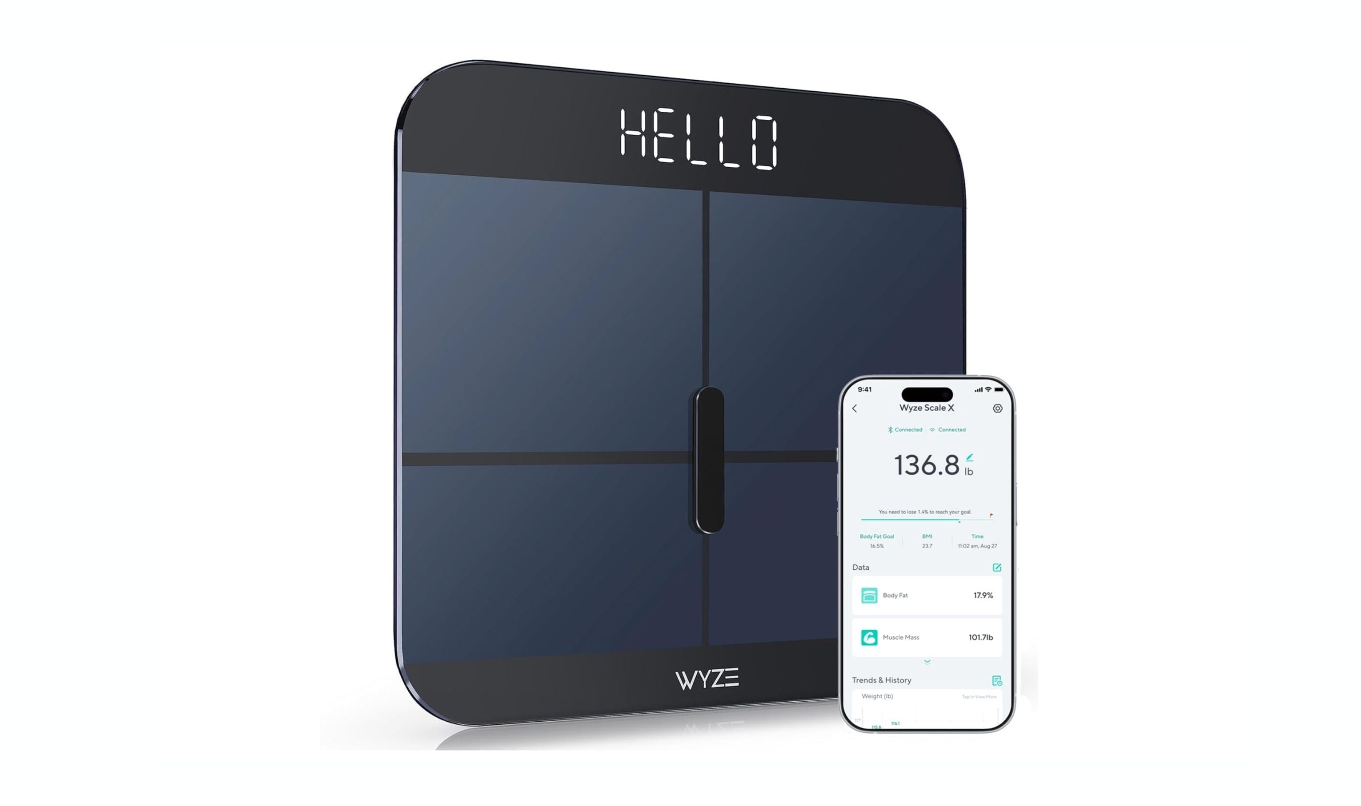 Best Smart Scales for 2026