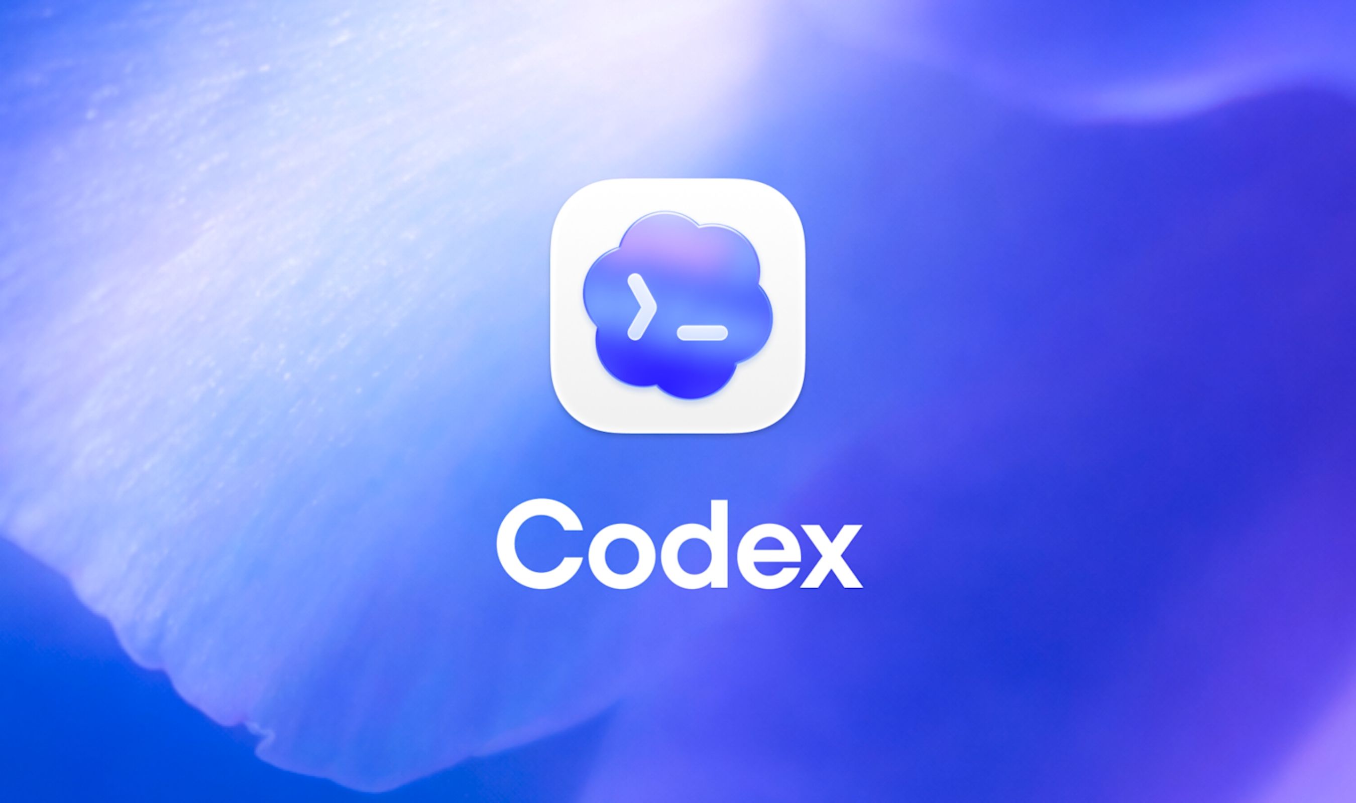 OpenAI Launches Codex Plugin for Rival Anthropic's Claude Code