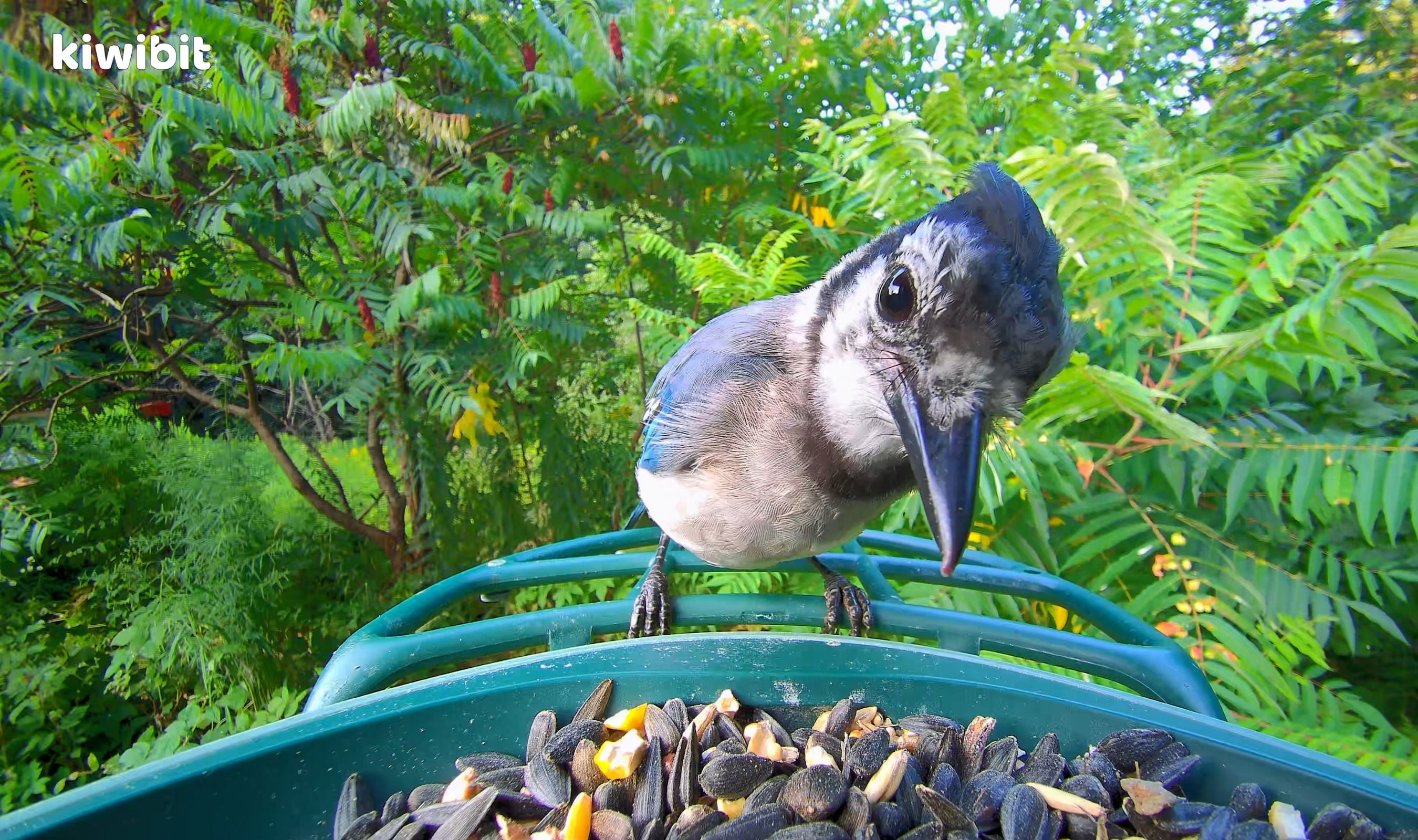 Technobezz - 2026-04-20T005732.046.jpg