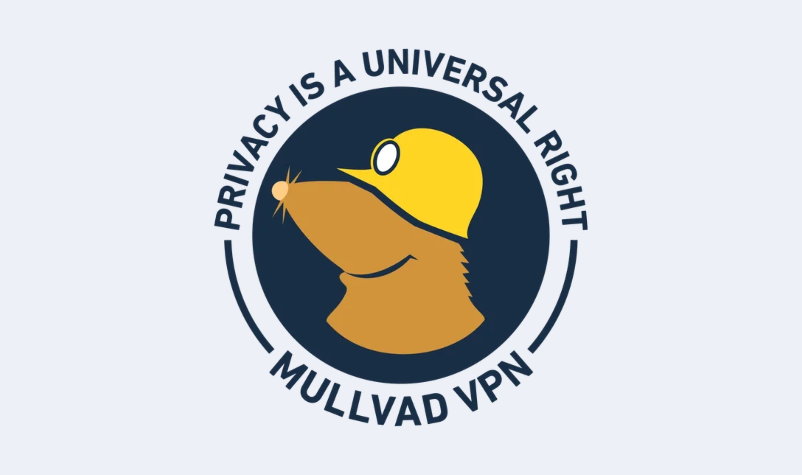 Mullvad to Close Public DNS Servers and Sponsor Quad9