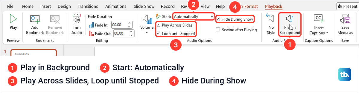 PowerPoint Playback tab after Play in Background, with Automatically and three options ticked.