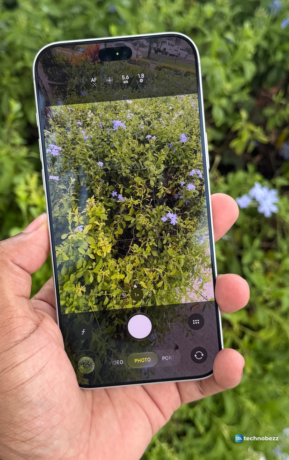 An iPhone 18 Pro Max held in one hand with the Camera app open in Photo mode, pointed at a hedge with small blue flowers