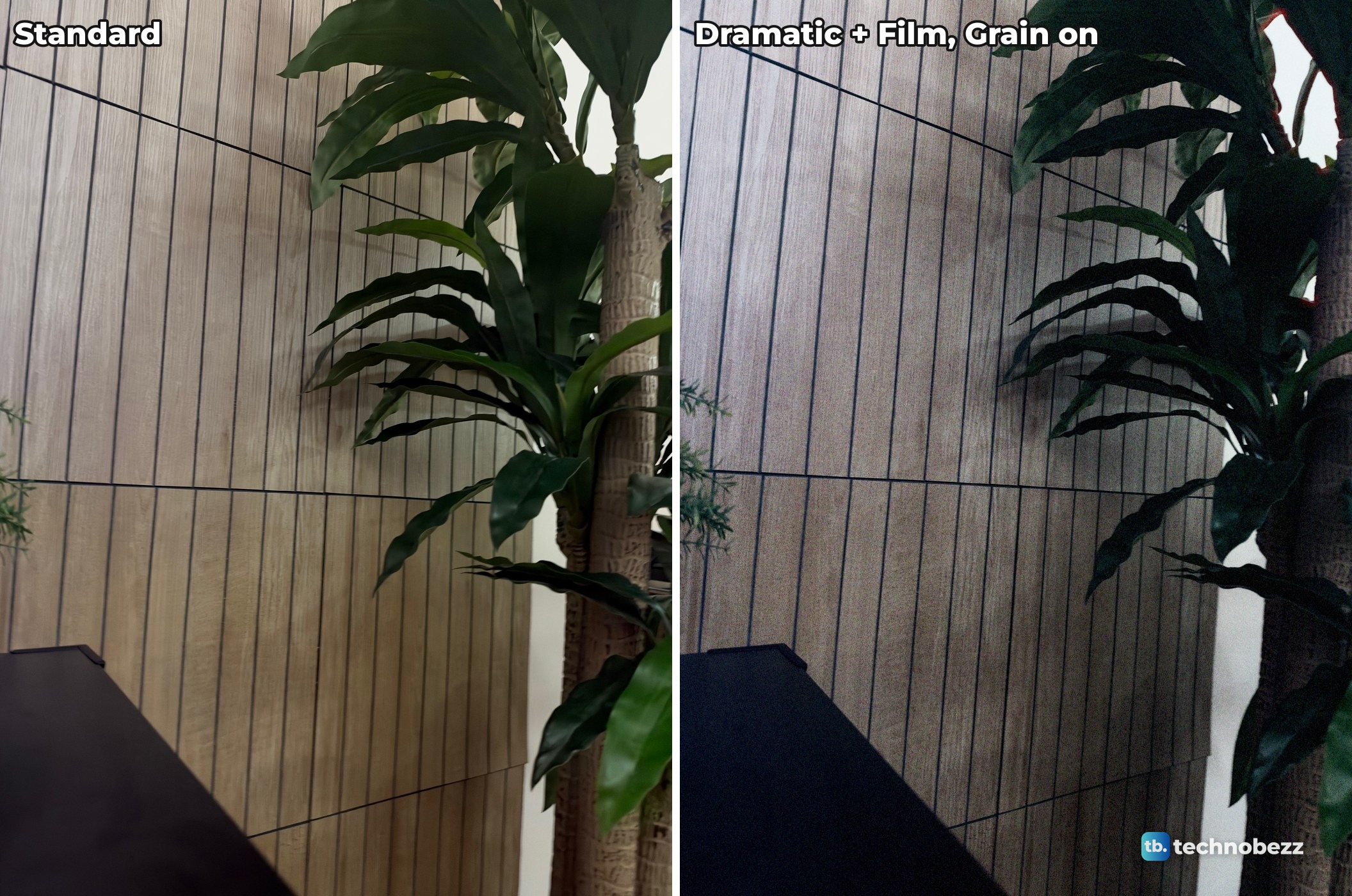 Two photos of a tall leafy plant in front of a slatted wood wall, the left one warm and clean, the right one cooler and darker with a fine speckle across the wall