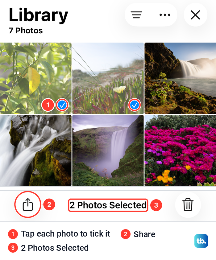 iPhone Photos library with two sample photos ticked and the Share button marked at the bottom