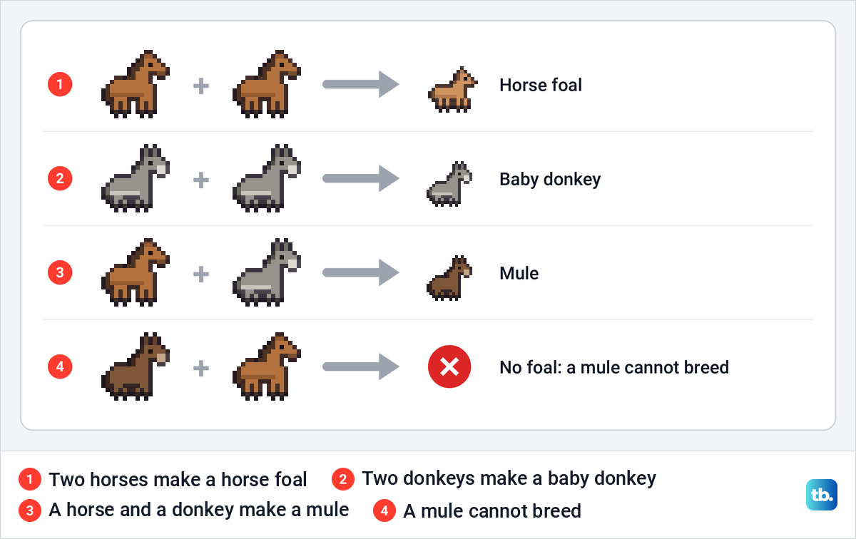 Chart of horse, donkey and mule breeding pairs and the baby each pair makes.