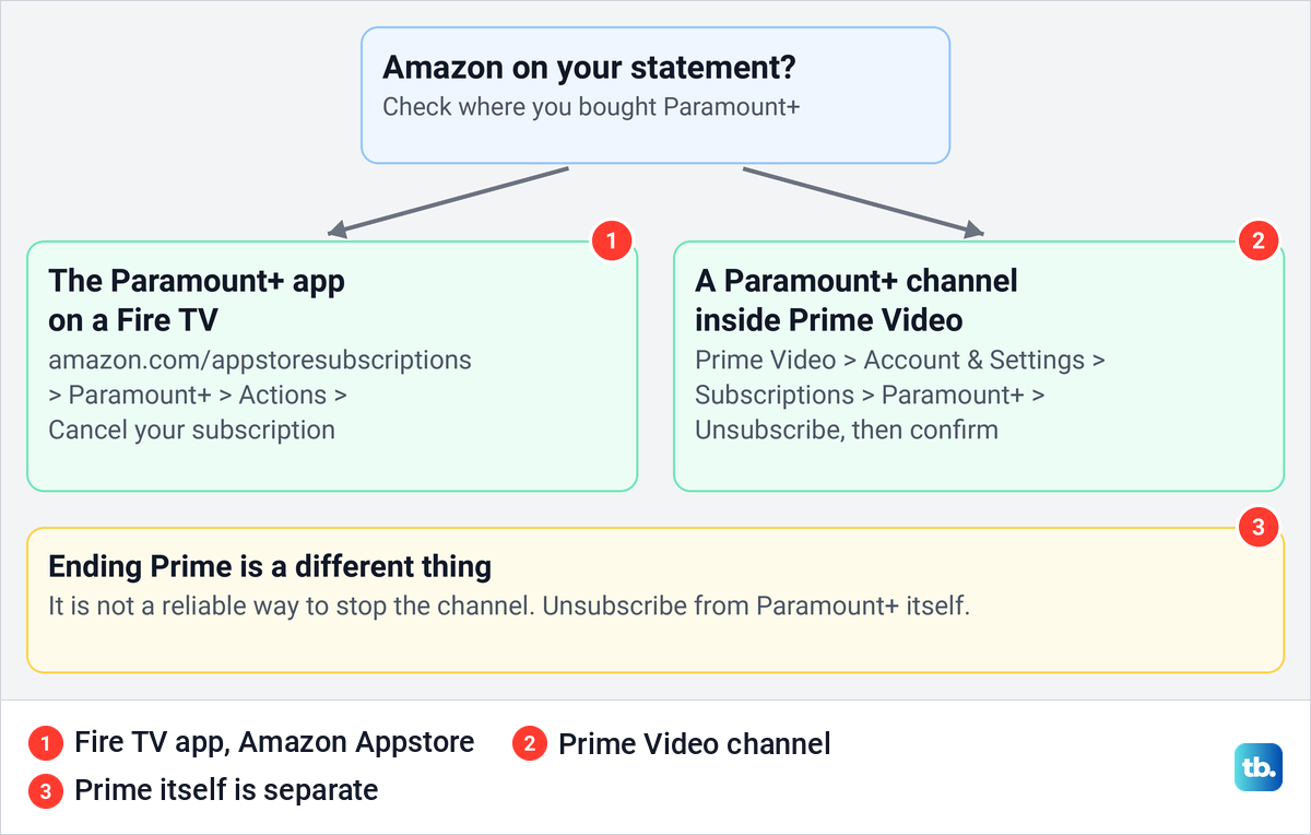 Diagram of the two Amazon routes for Paramount Plus, the Fire TV app and the Prime Video channel.
