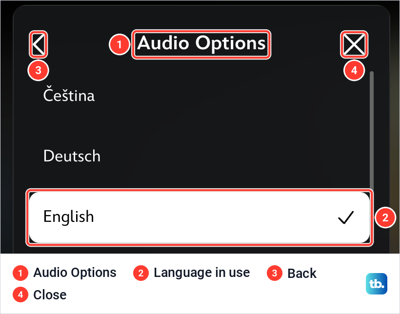 Disney Plus web player Audio Options list with a tick beside the audio language in use.