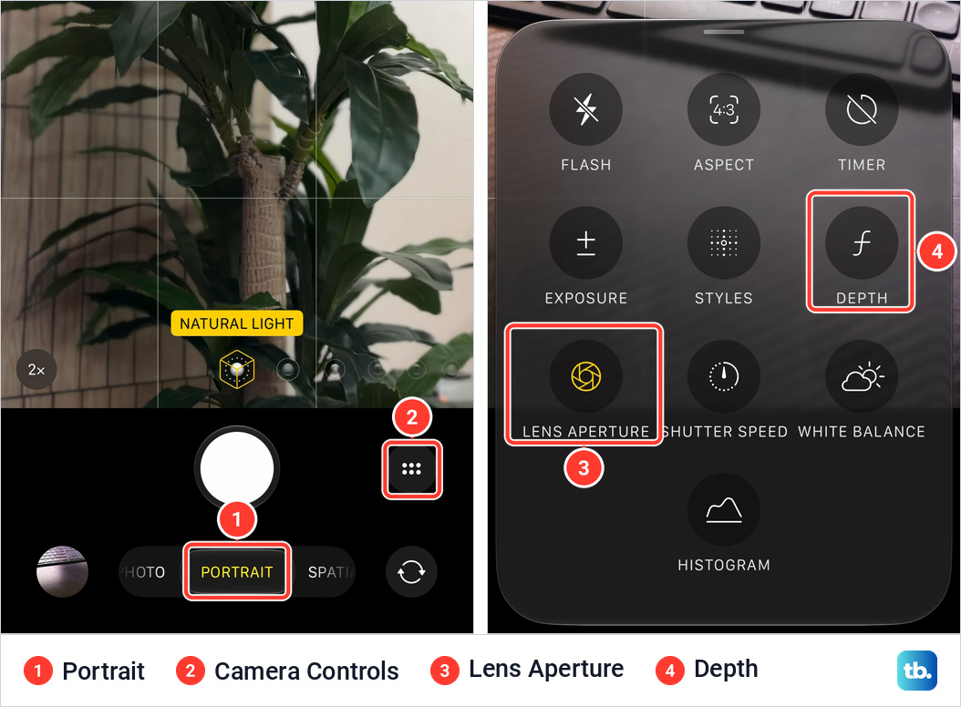 Two views of Portrait mode on an iPhone 18 Pro Max, the camera screen pointed at a plant with Portrait selected, and the Camera Controls menu with a yellow Lens Aperture tile and a Depth tile that carries the ƒ icon
