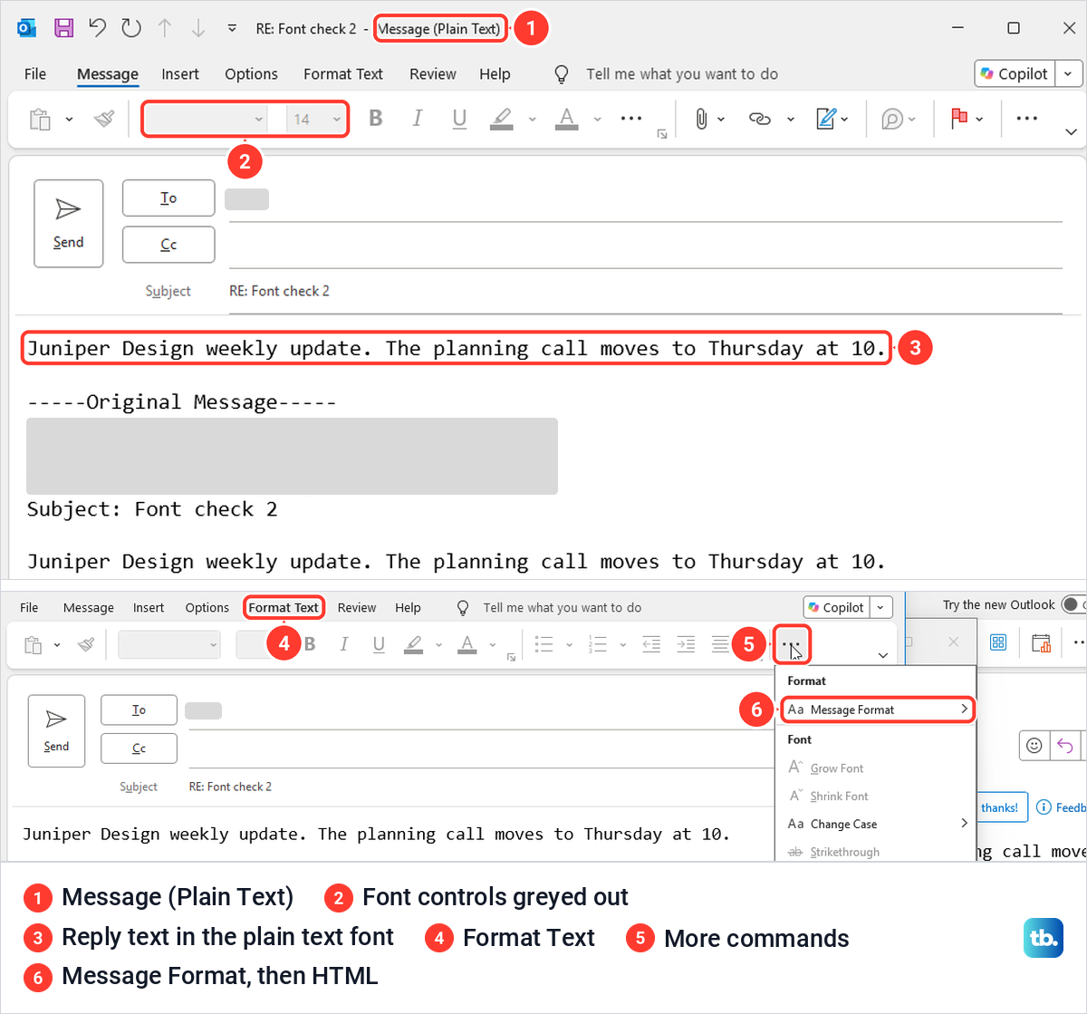 A plain text reply in classic Outlook with greyed font controls, above the Format Text menu with Message Format.