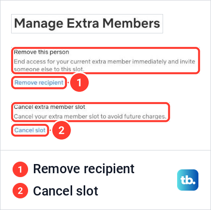 The Netflix Manage Extra Members page with the Remove recipient and Cancel slot links.