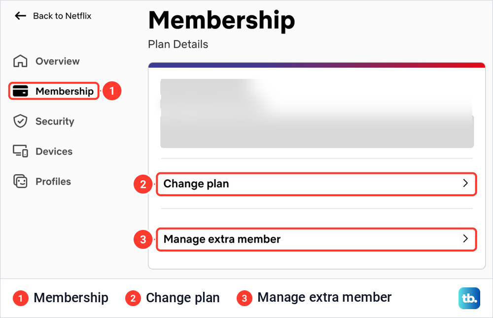 The Netflix Membership page with the Plan Details card showing Change plan and Manage extra member.