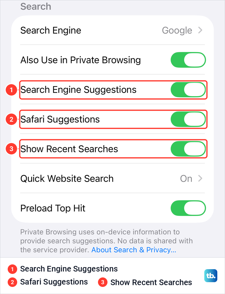 iPhone Safari settings Search section with Search Engine Suggestions, Safari Suggestions and Show Recent Searches switched on.
