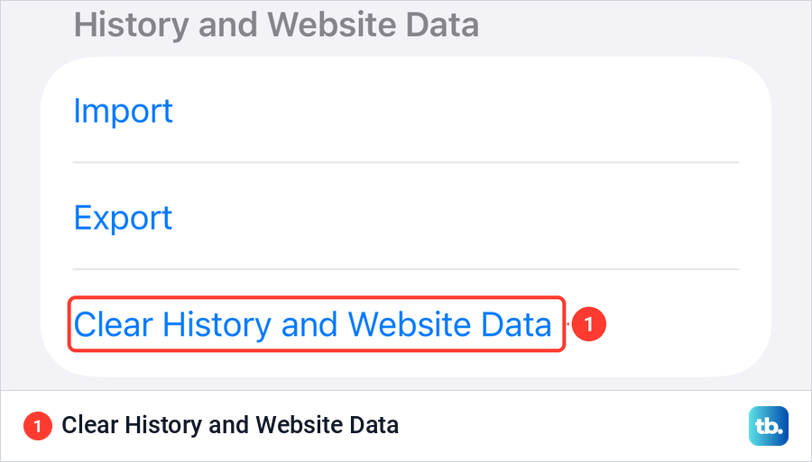 iPhone Safari settings showing the History and Website Data group with Import, Export and Clear History and Website Data.