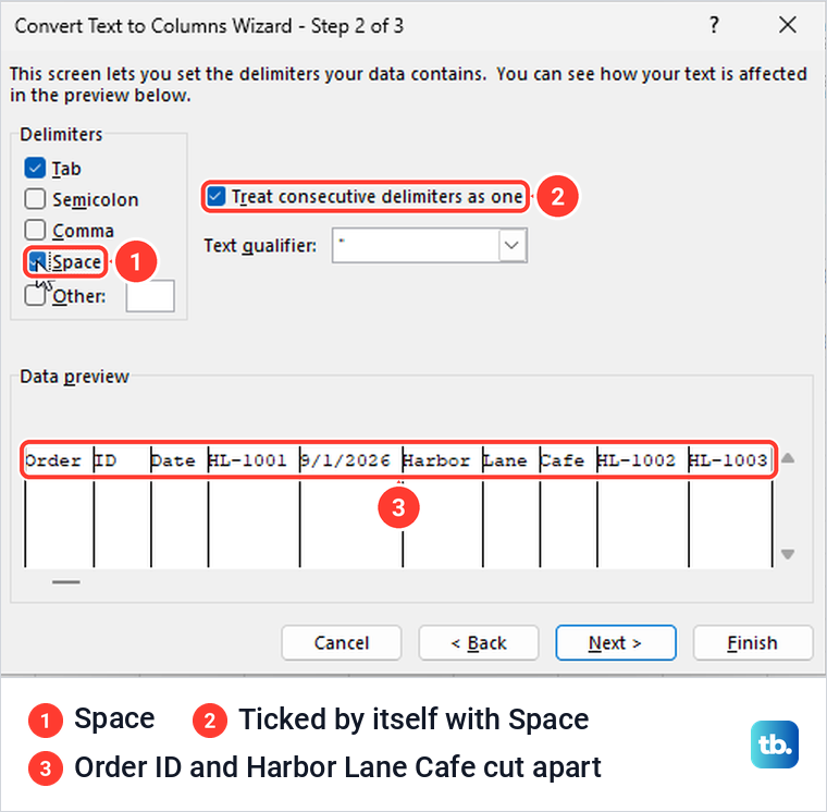 The Convert Text to Columns Wizard splitting pasted PDF text on spaces in its preview.