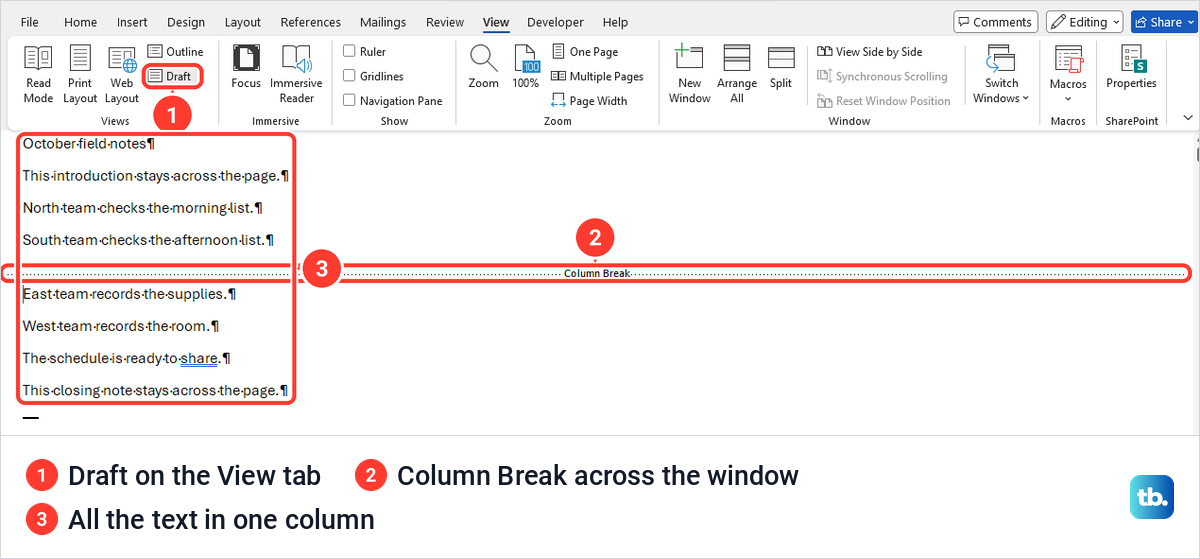 Word in Draft view showing all the text in one column and a Column Break line.