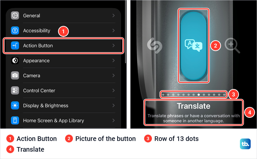 Two iPhone screens side by side. The Settings list with the Action Button row marked, and the Action Button screen with a lit button, a row of dots and the name Translate