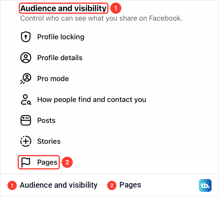 The main profile's Settings and privacy on iPhone with Pages listed under Audience and visibility.