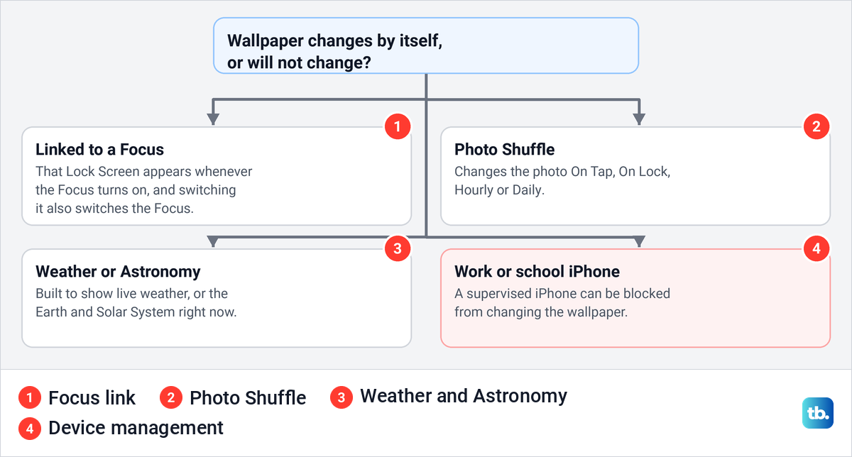 Diagram of four reasons an iPhone wallpaper changes by itself or cannot be changed.