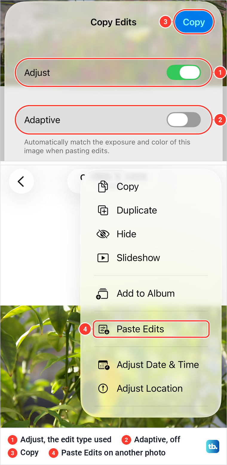 The iPhone Copy Edits sheet with Adjust and Adaptive switches, and the Paste Edits menu item.