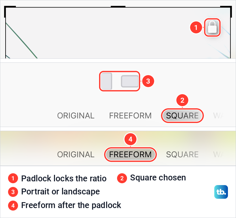 Close-ups of the iPhone crop screen: a padlock on a Square crop box, the Square preset, then Freeform.