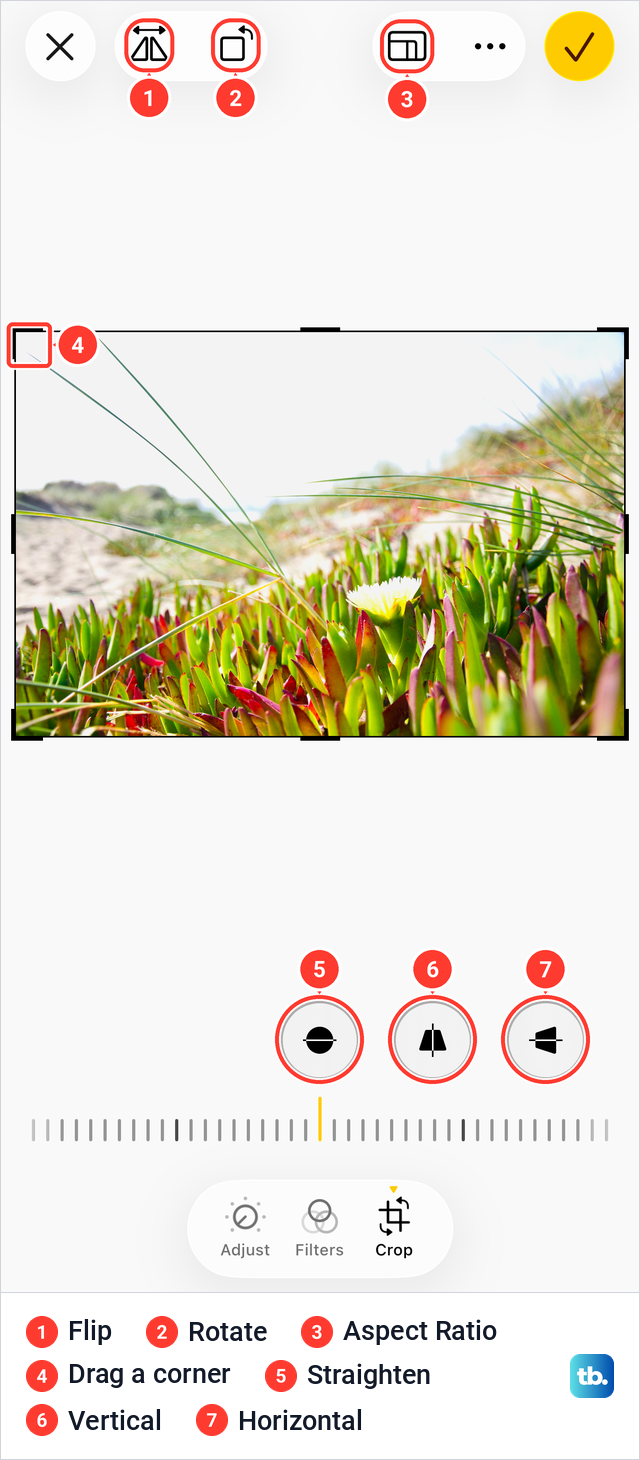 The Crop view in iPhone Photos with Flip, Rotate, Aspect Ratio, crop handles and straightening controls.
