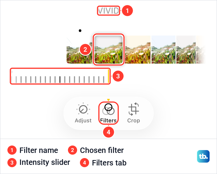 The Filters tab in iPhone Photos with the Vivid filter chosen and its intensity slider.