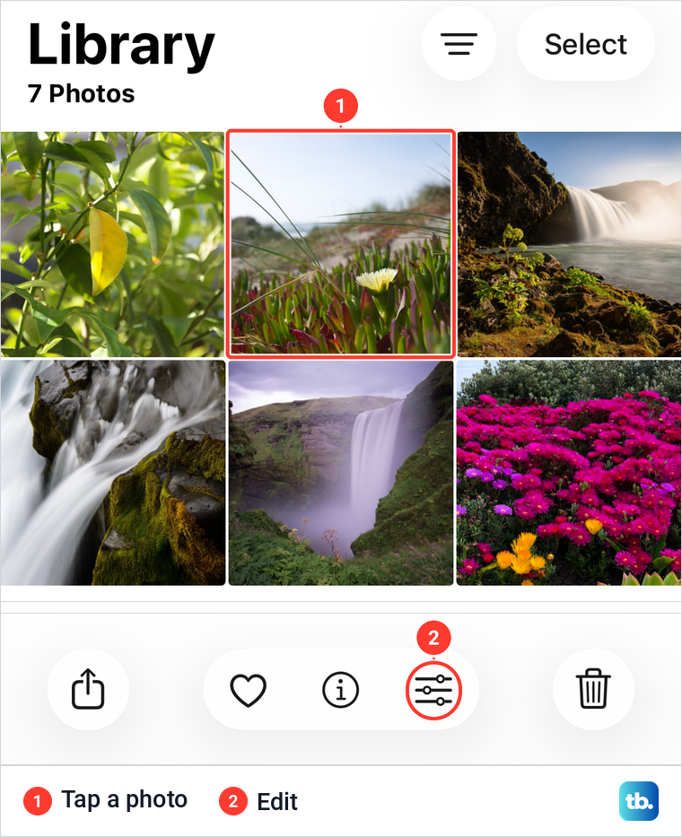 The iPhone Photos Library with a sample photo selected and the Edit button in the photo viewer.