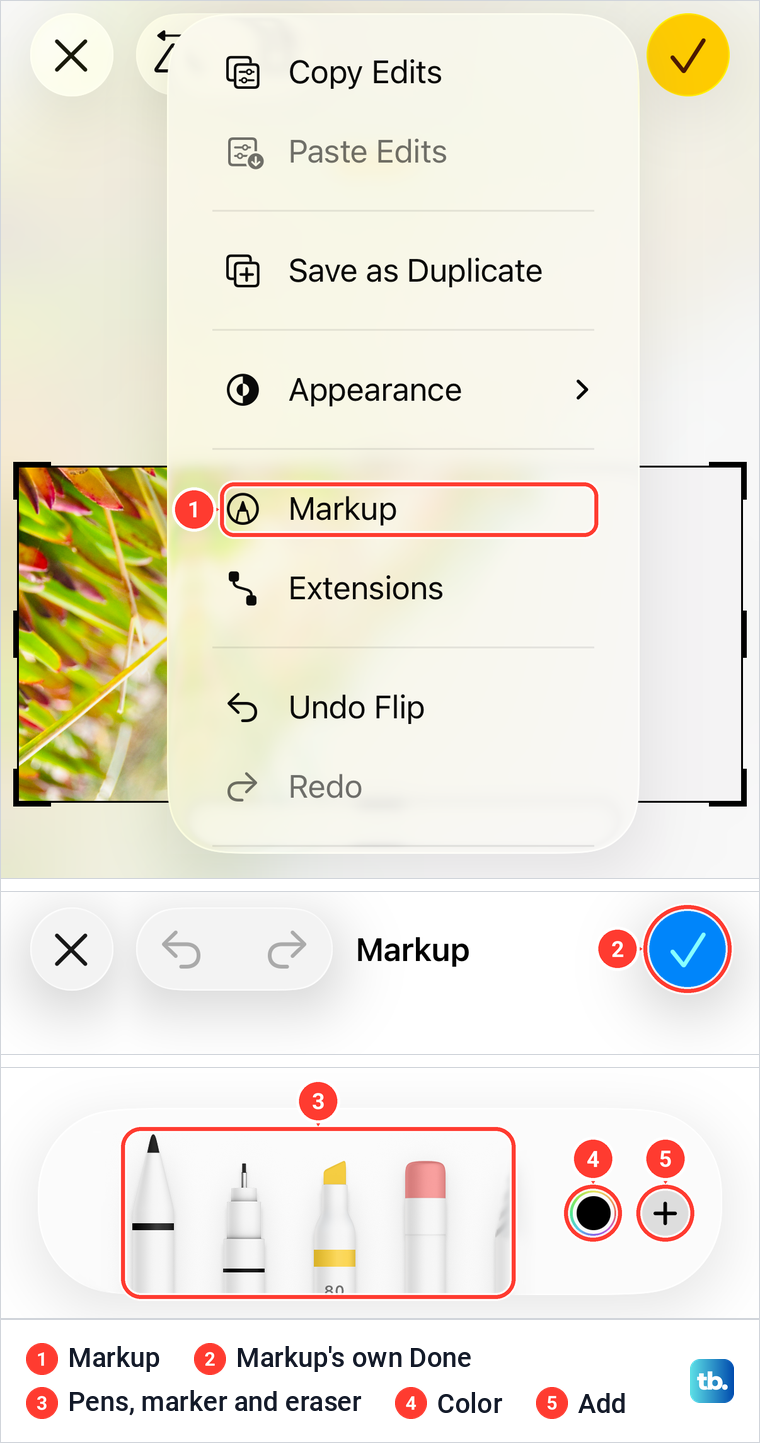 The iPhone Photos editor More menu with Markup, above the Markup Done button and tool tray.