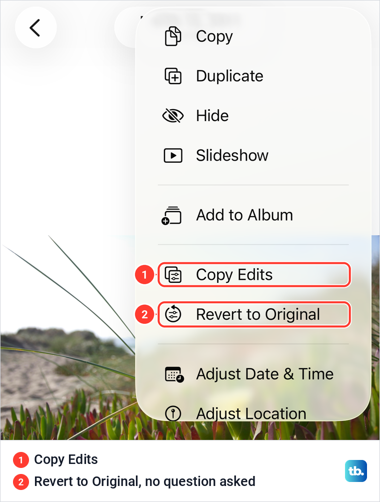 The iPhone Photos More menu for an edited photo showing Copy Edits and Revert to Original.