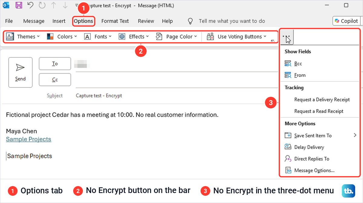 Classic Outlook message window with the Options tab and its three-dot menu open, showing no Encrypt button.