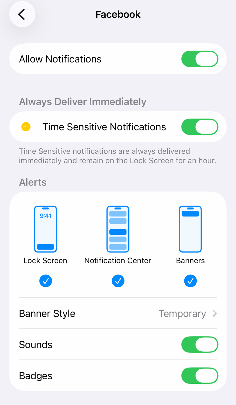 iPhone notification settings for Facebook with Allow Notifications, Time Sensitive and alert styles