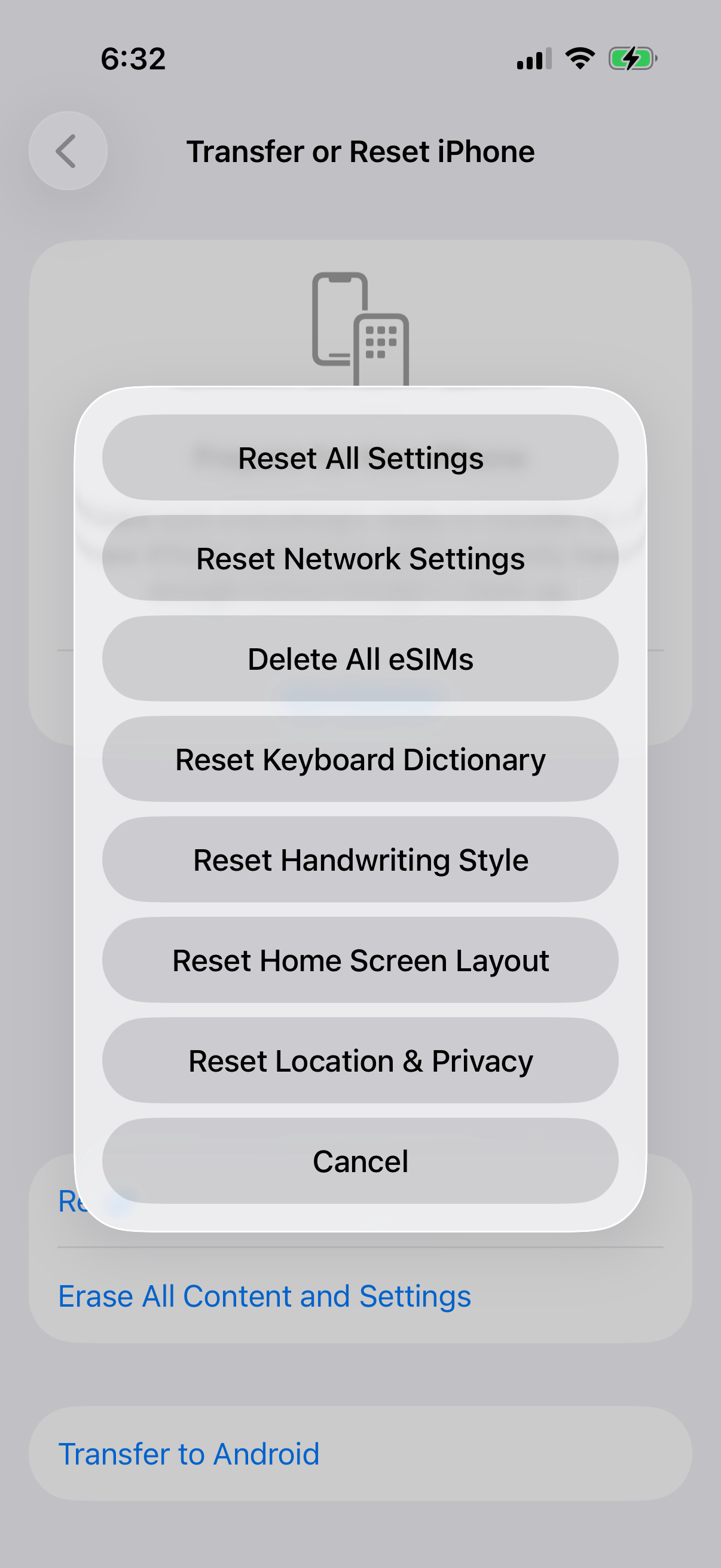 iPhone Reset options sheet with Reset All Settings, Reset Network Settings and Delete All eSIMs