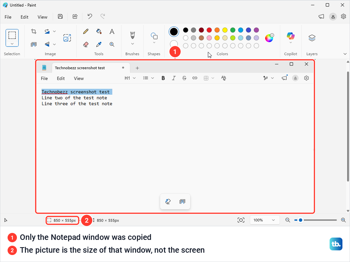Paint showing only a Notepad window pasted after Alt and Print Screen, with the picture size in the status bar.