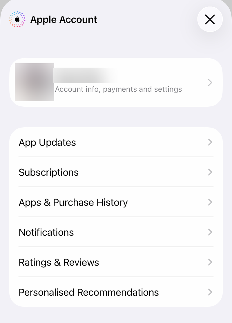 App Store Apple Account sheet with App Updates, Subscriptions and Apps and Purchase History