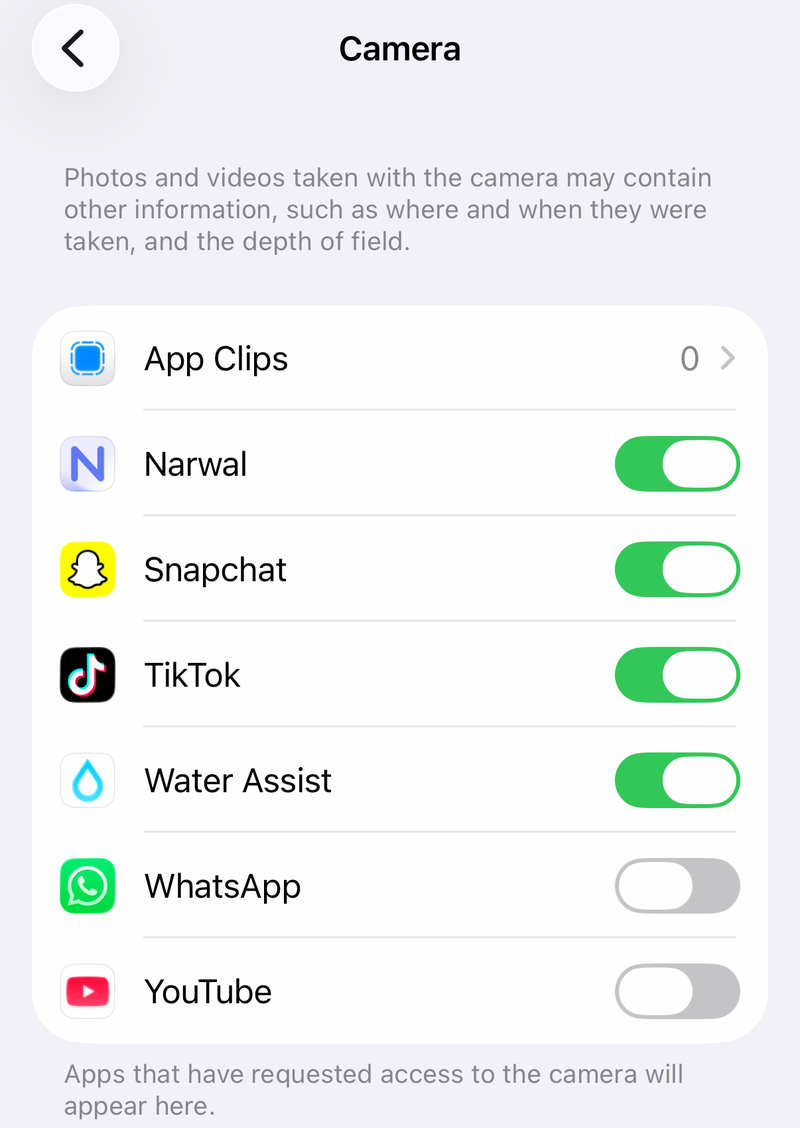iPhone Camera privacy list with switches for apps including WhatsApp and YouTube