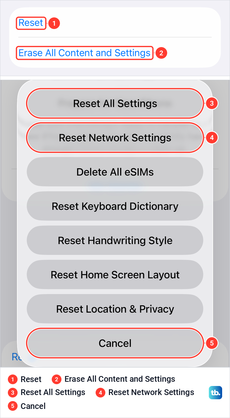 Two crops of iPhone screens, the Reset and Erase rows of Transfer or Reset iPhone above the list Reset opens.
