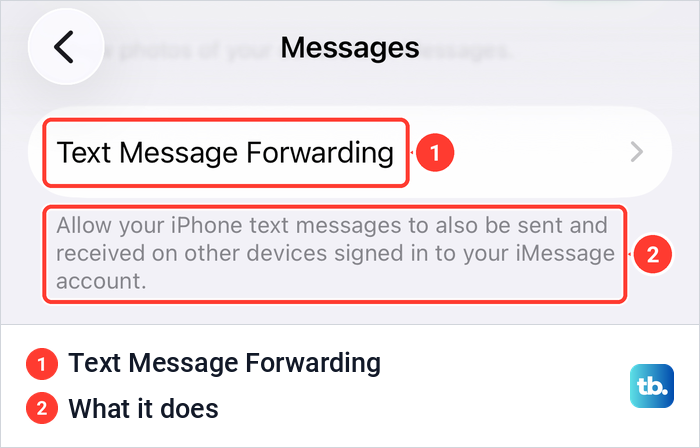 The Text Message Forwarding row in iPhone Messages settings with its description underneath.