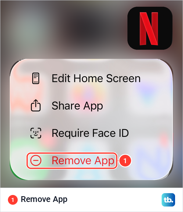 The Netflix touch and hold menu on an iPhone with the red Remove App item.