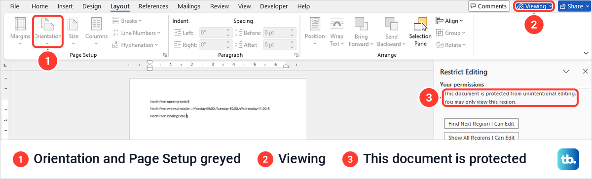 Word Layout tab with Orientation greyed out while Restrict Editing protects the document.