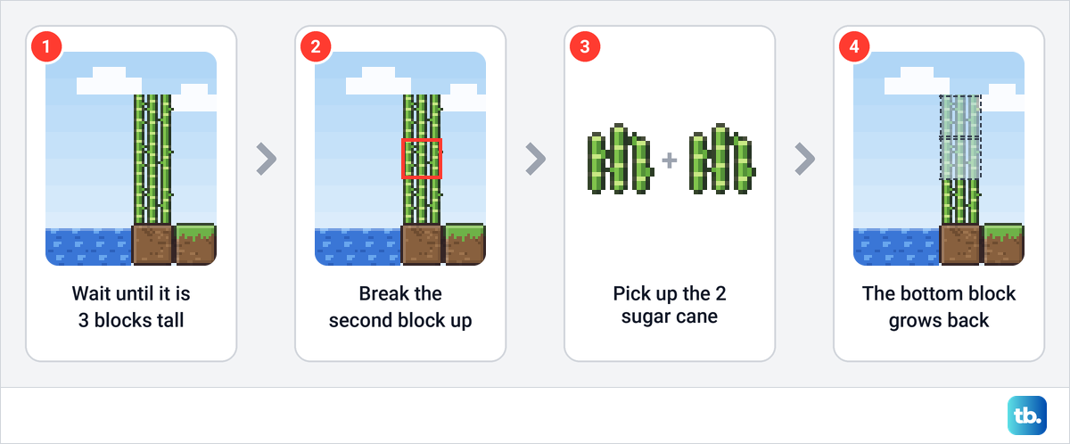 Four steps showing a three block tall sugar cane, its second block marked, two sugar cane items and the bottom block regrowing.