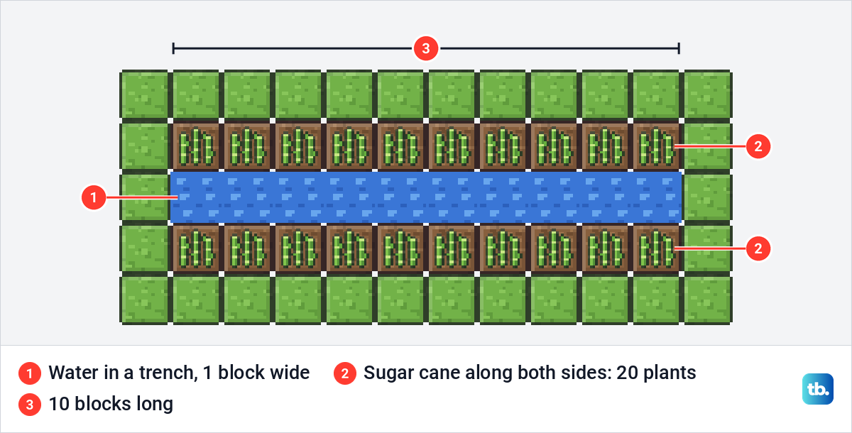 Top view of a sugar cane farm with a ten block water trench and sugar cane planted along both sides.