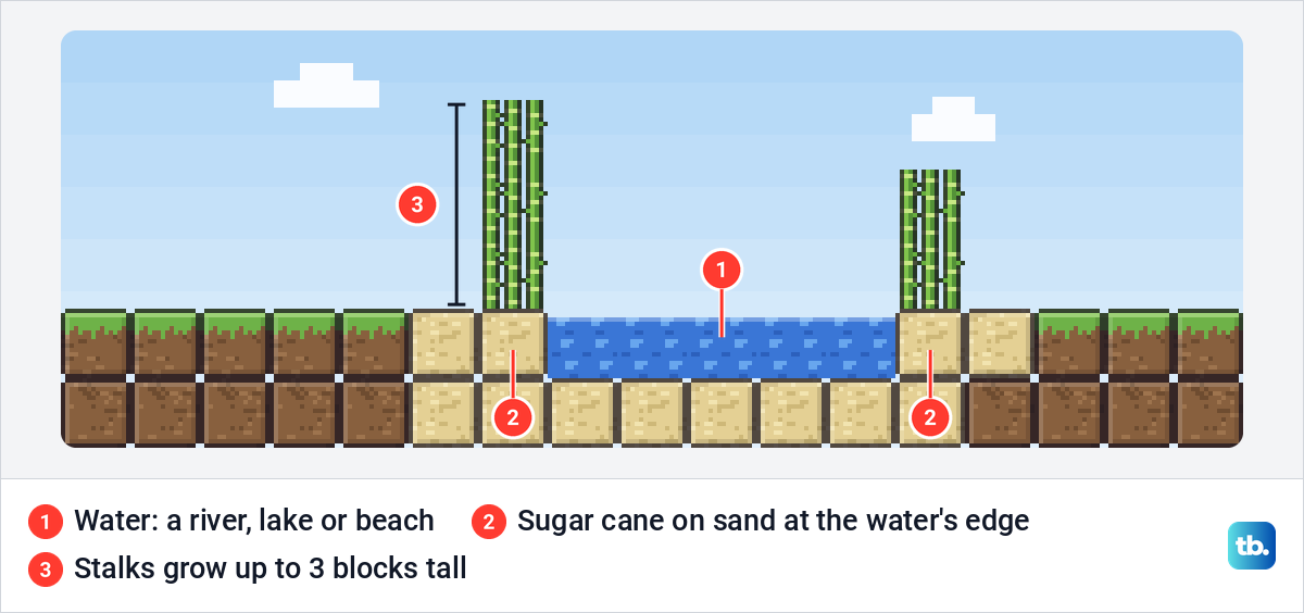 A river bank with sugar cane standing on sand at the water's edge on both sides of the river.