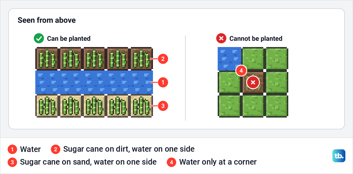 Top view of sugar cane on dirt and sand along a strip of water, beside a dirt block that only touches water at a corner.